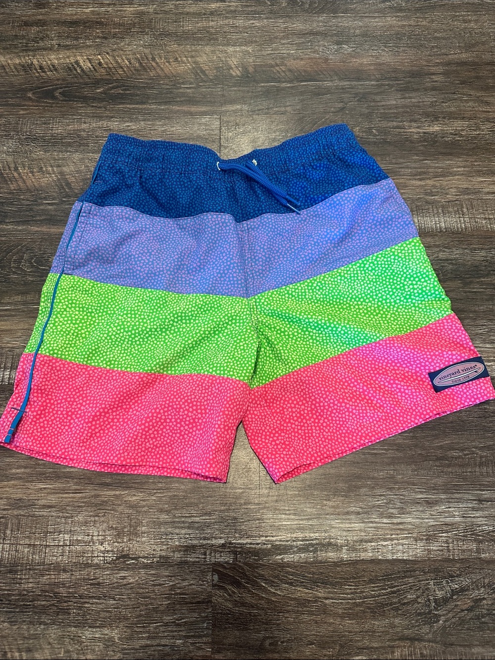 Vineyard Vines Multicolor Stripe Swim Trunks in Blue, Purple, Green & Pink